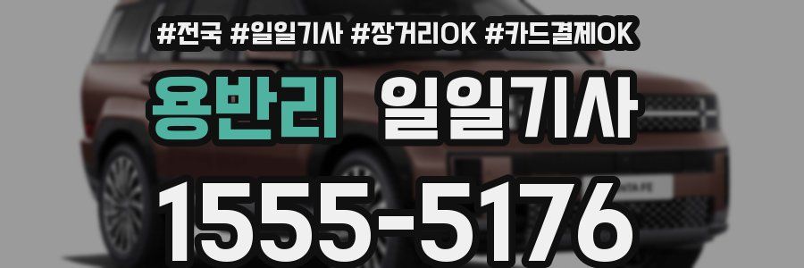 용반리 일일기사