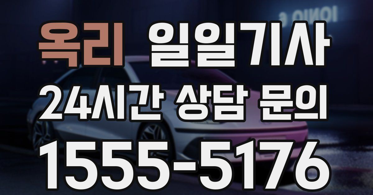 일일대리기사