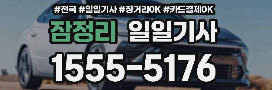 잠정리 일일기사