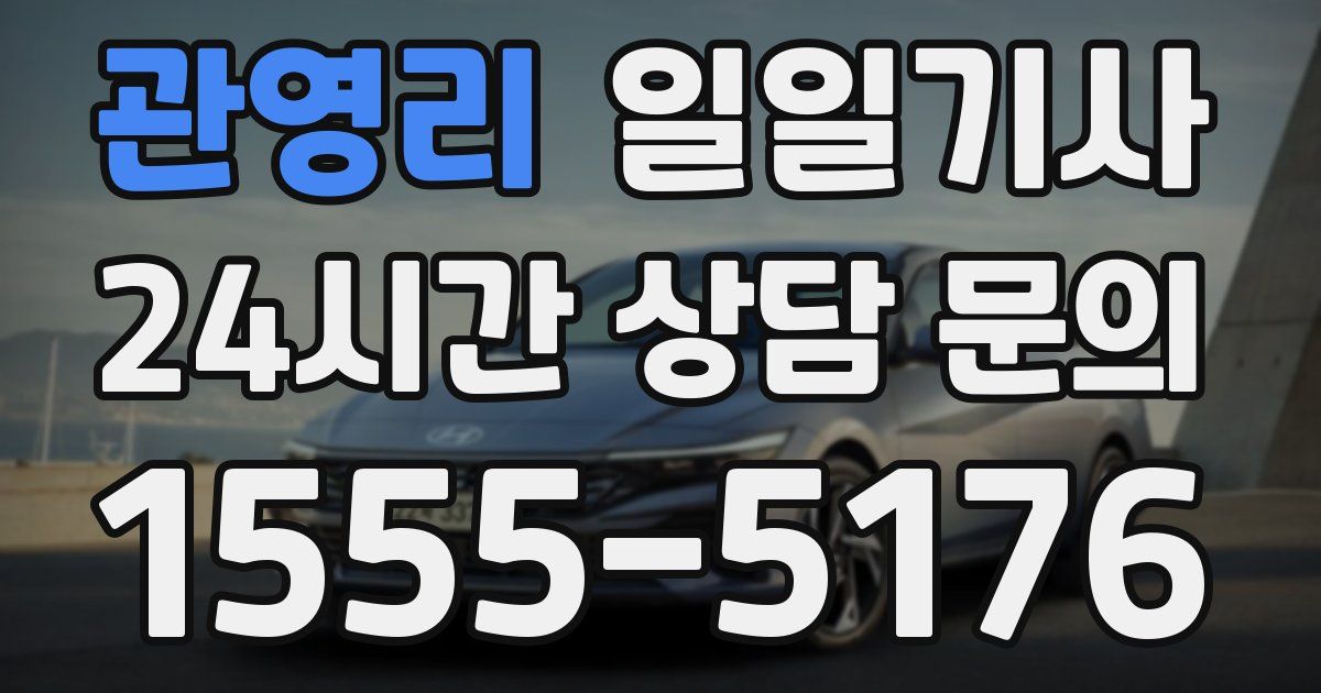 일일대리기사