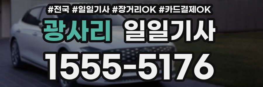광사리 일일기사