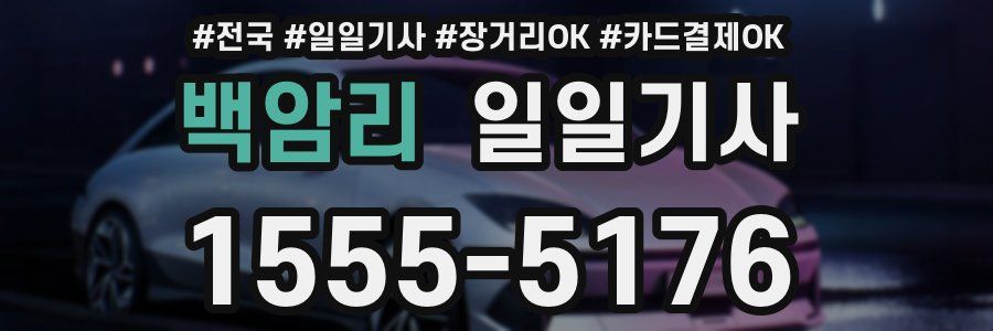 백암리 일일기사