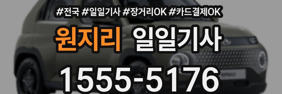 원지리 일일기사