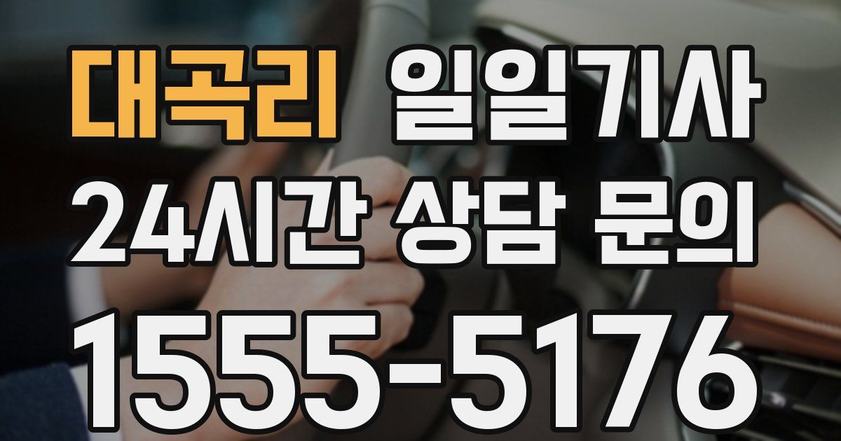 일일대리기사