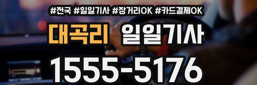 대곡리 일일기사