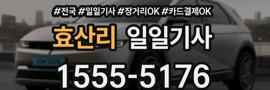 효산리 일일기사