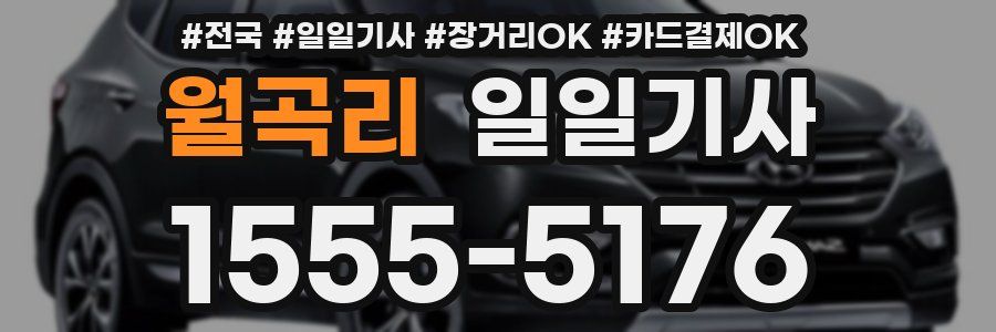 월곡리 일일기사