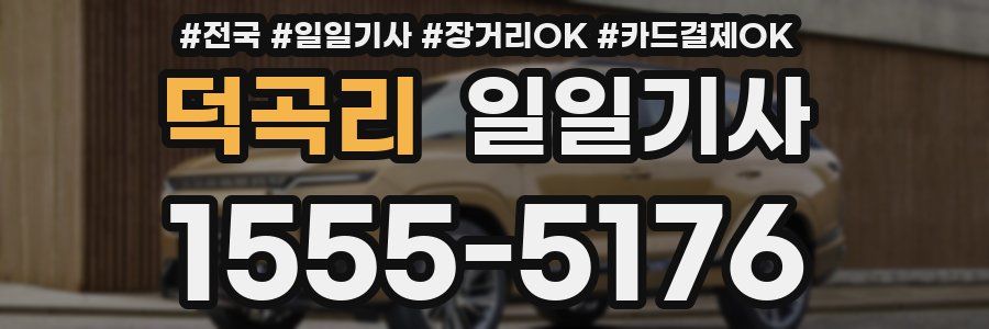 덕곡리 일일기사