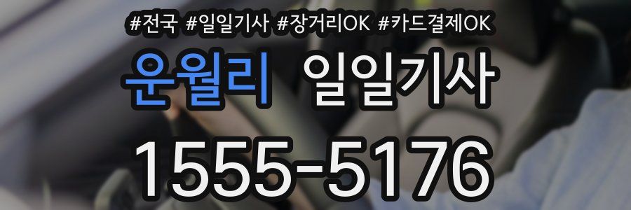 운월리 일일기사