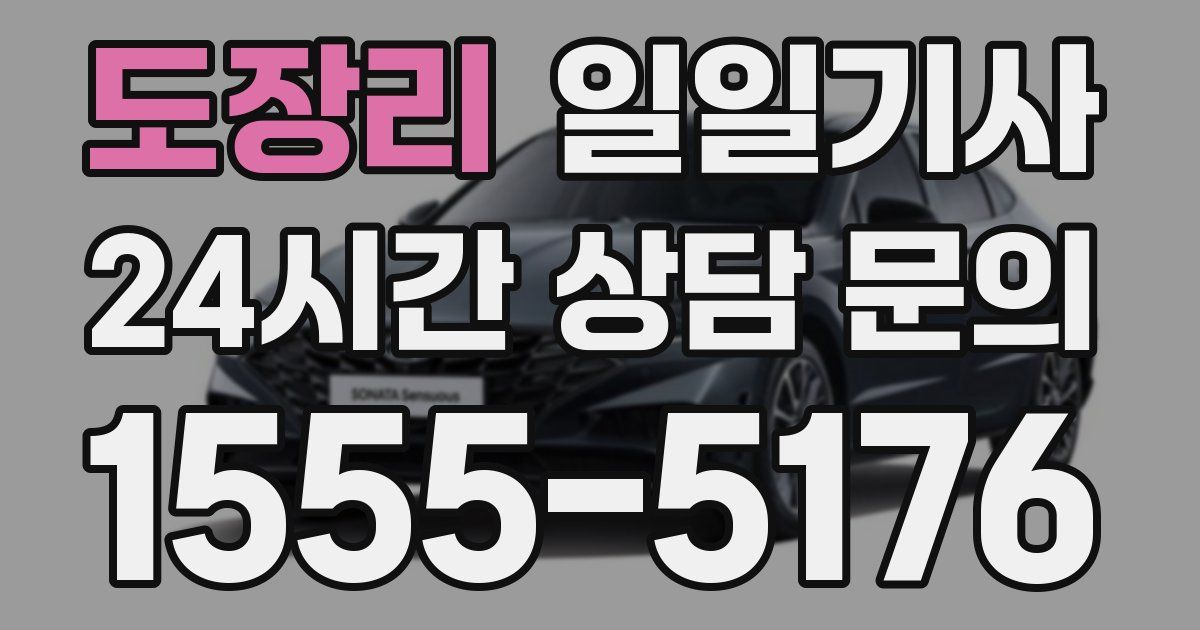 일일대리기사