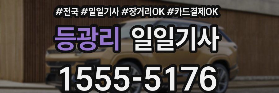 등광리 일일기사