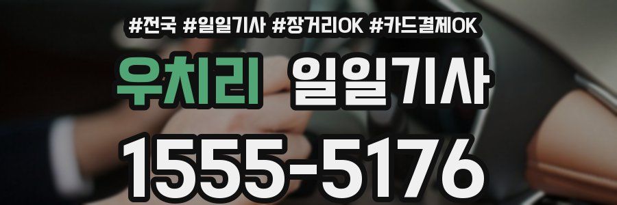 우치리 일일기사