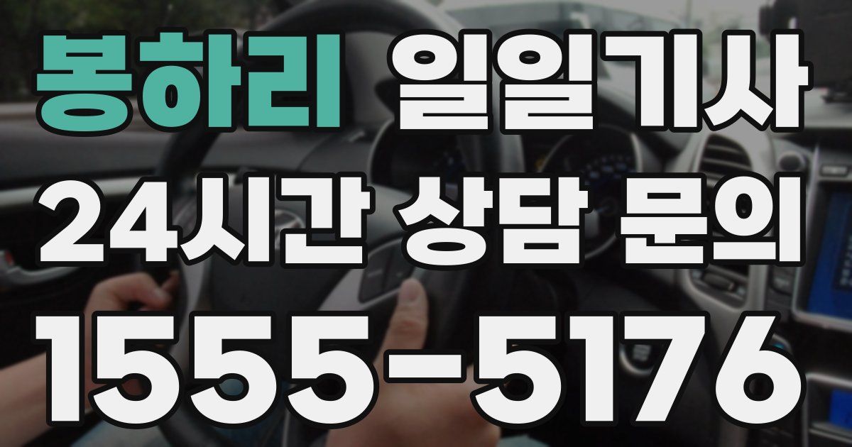 일일대리기사
