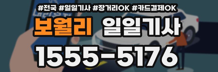 보월리 일일기사