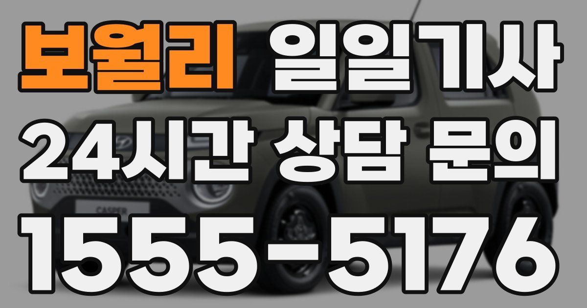 일일대리기사