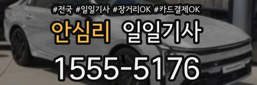 안심리 일일기사