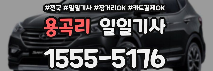 용곡리 일일기사