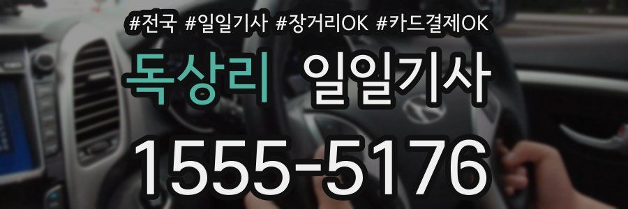 독상리 일일기사