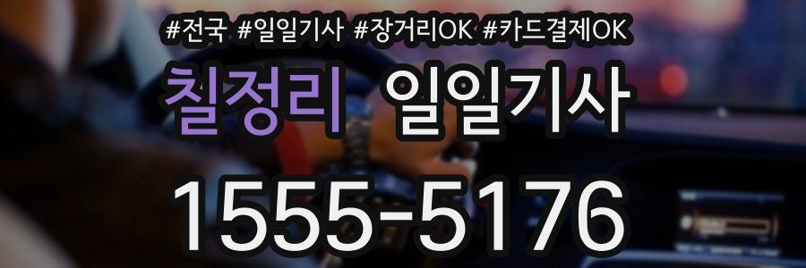 칠정리 일일기사