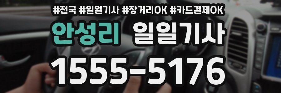 안성리 일일기사