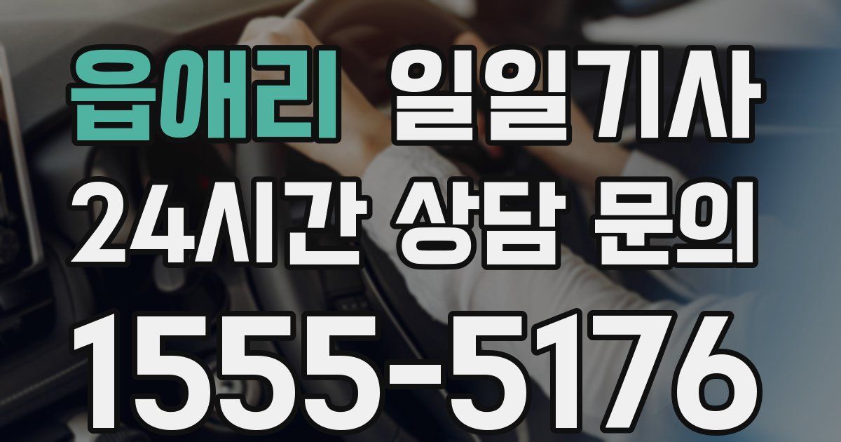 일일대리기사