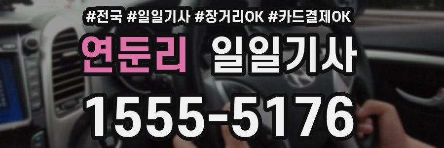 연둔리 일일기사