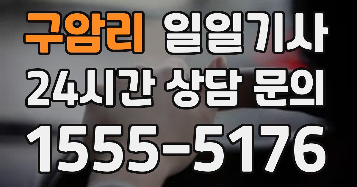 일일대리기사