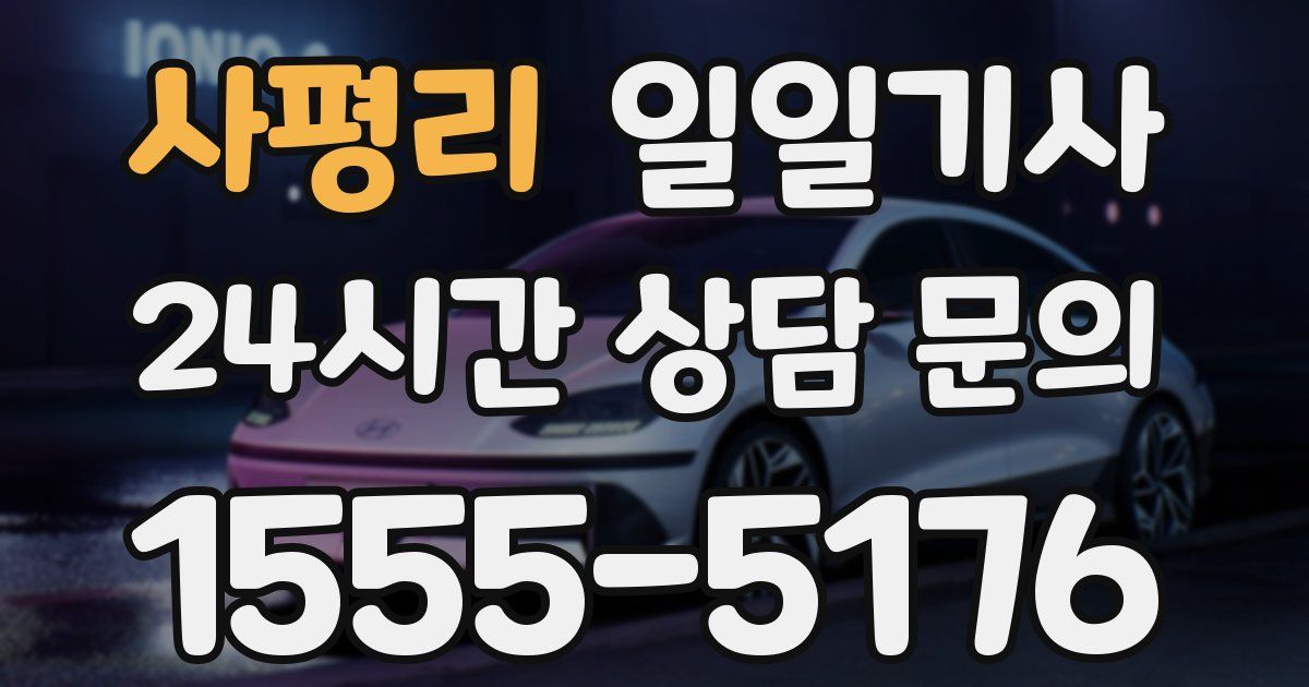 일일대리기사