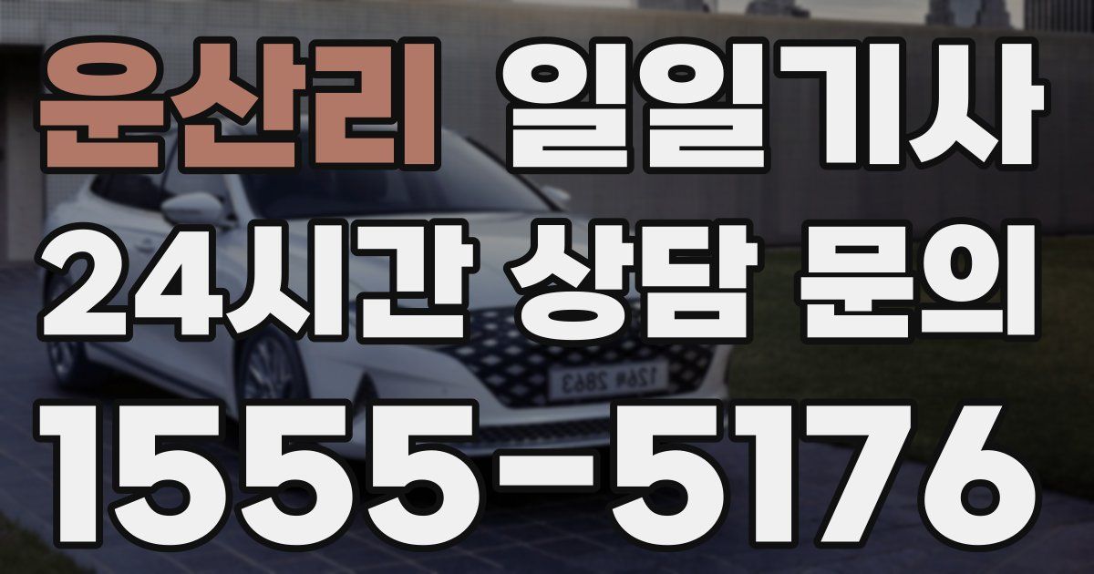 일일대리기사