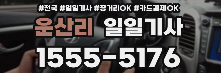 운산리 일일기사