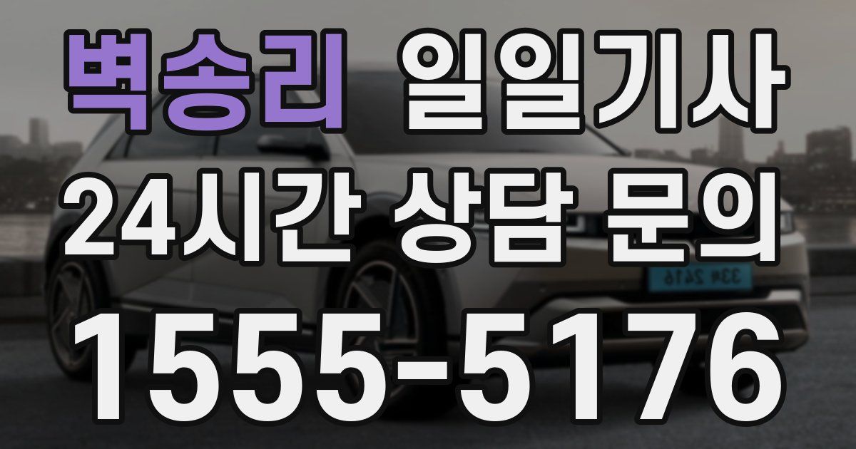 일일대리기사