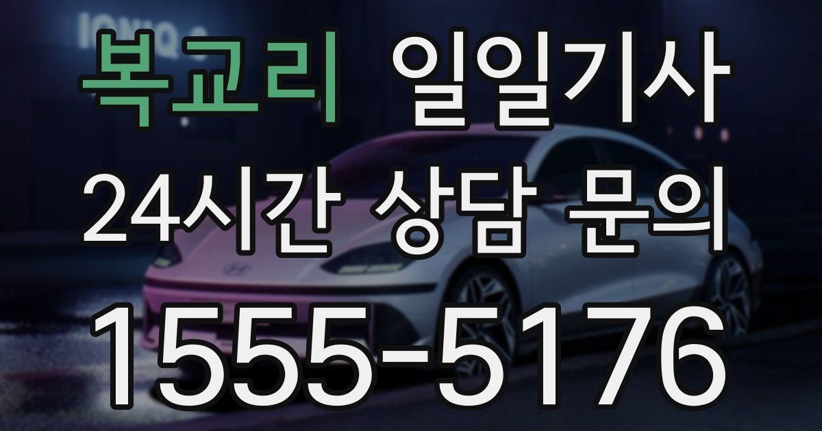 일일대리기사
