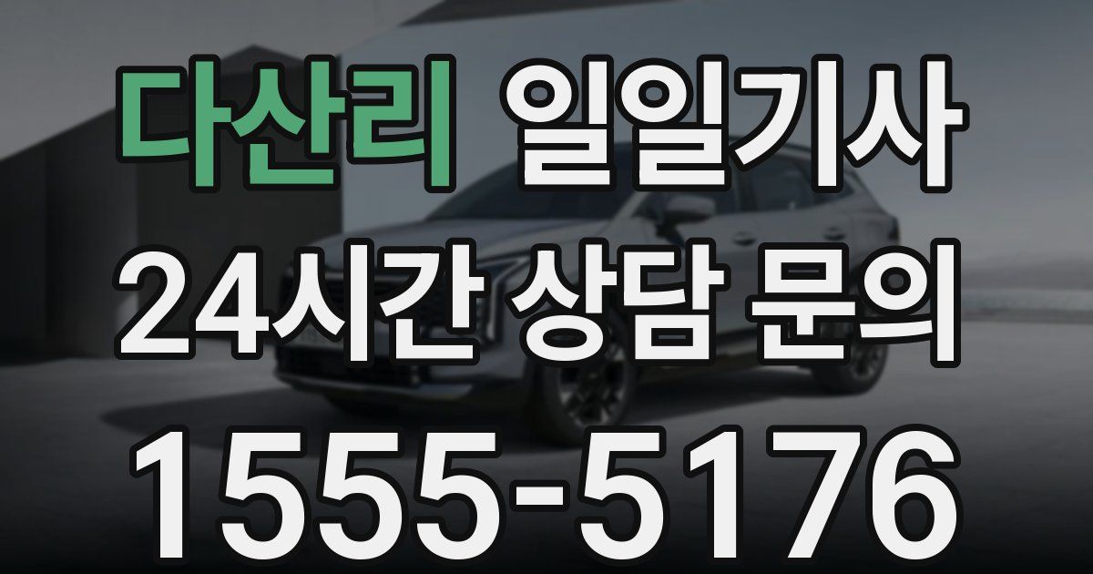 일일대리기사