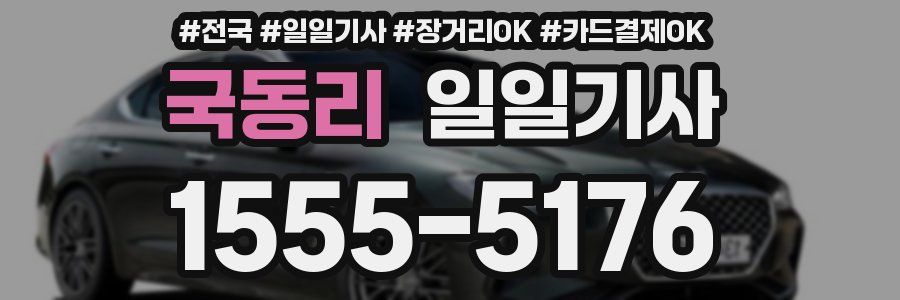 국동리 일일기사