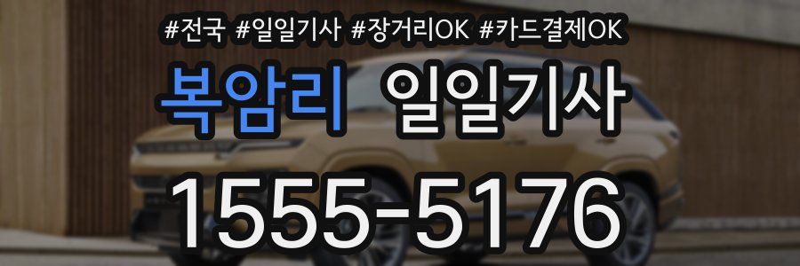 복암리 일일기사