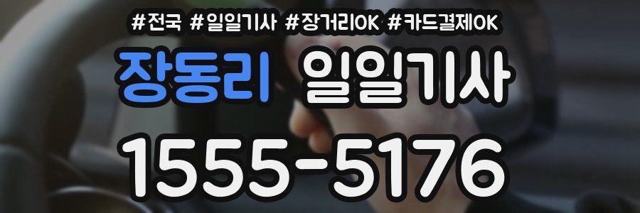 장동리 일일기사