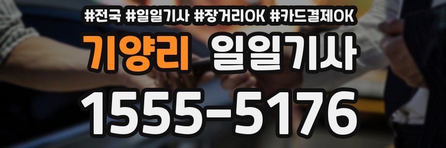 기양리 일일기사