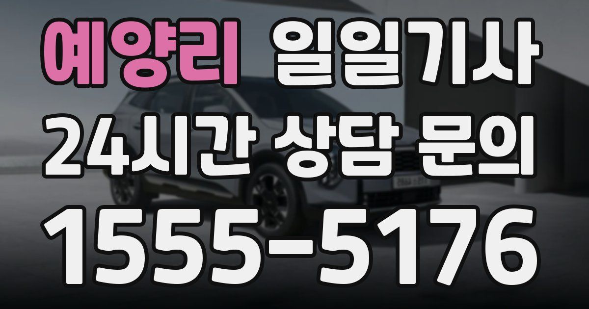 일일대리기사