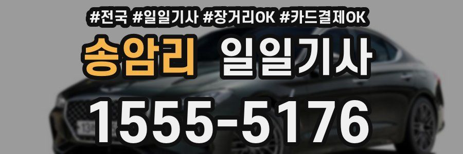 송암리 일일기사