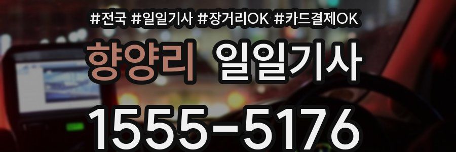 향양리 일일기사