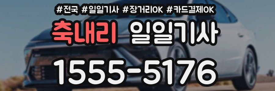 축내리 일일기사