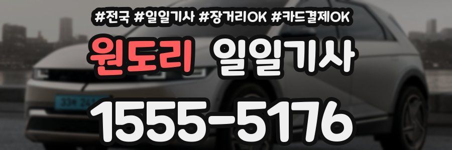 원도리 일일기사
