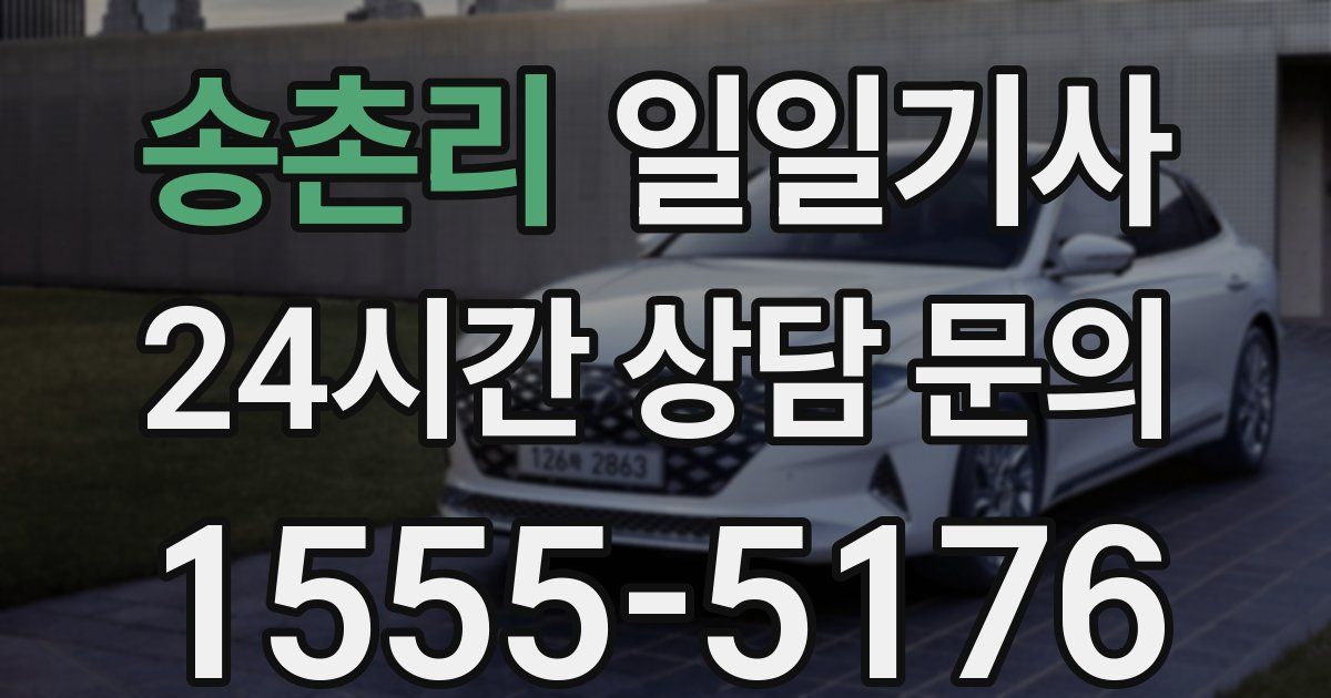 일일대리기사