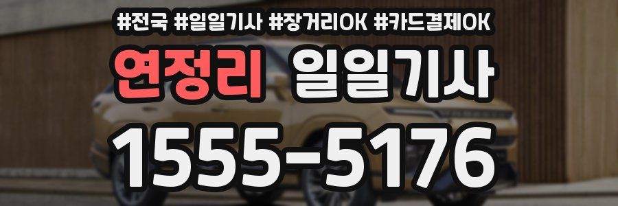 연정리 일일기사