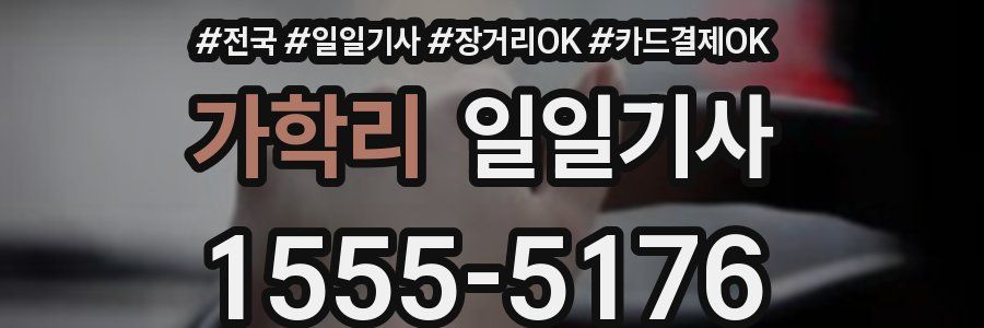 가학리 일일기사