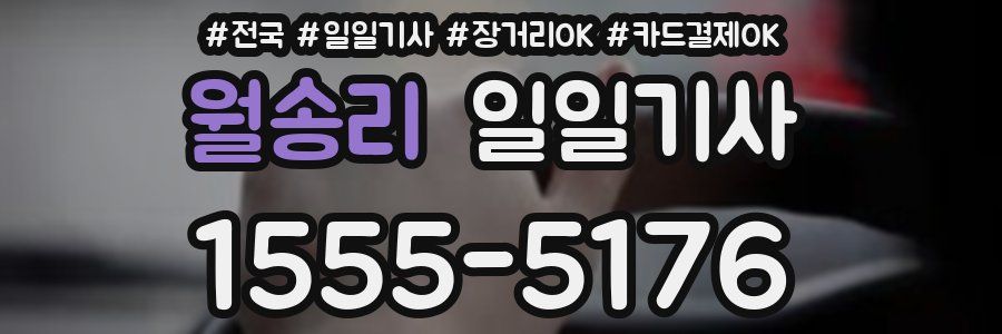 월송리 일일기사