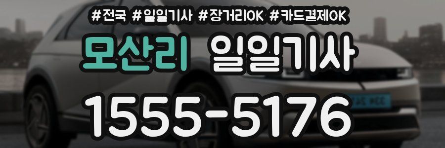 모산리 일일기사