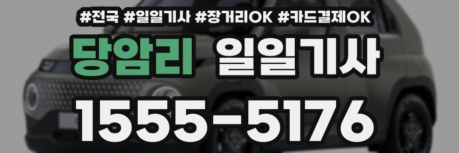 당암리 일일기사