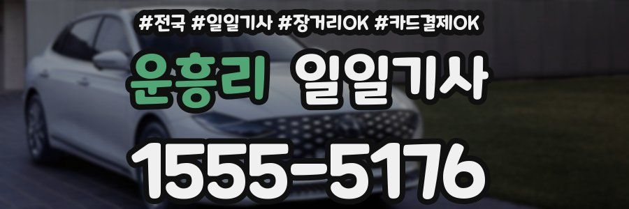 운흥리 일일기사