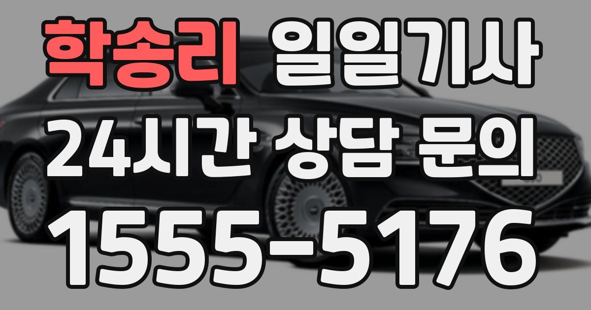 일일대리기사